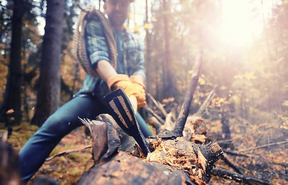Gozdarstvo-in-varnost-sekanje
