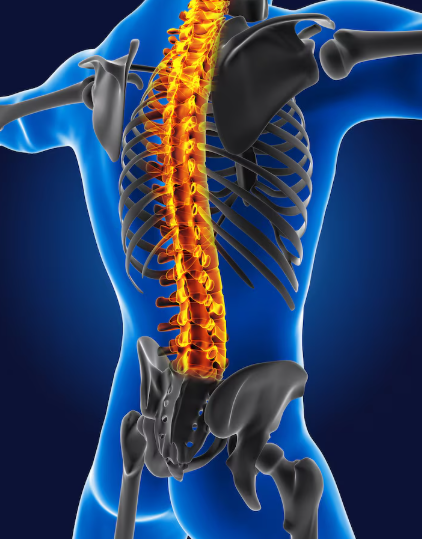 Uklještenje živca u leđima